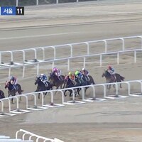daiouokaの競馬動画