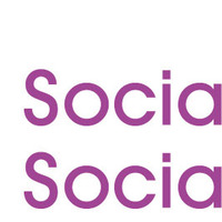 International Sociological Association